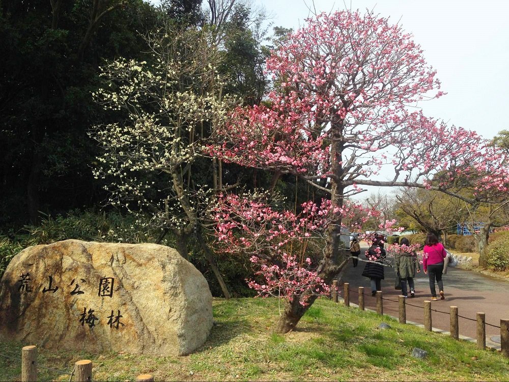 🌸 코젠 공원(荒山公園) 이미지 1